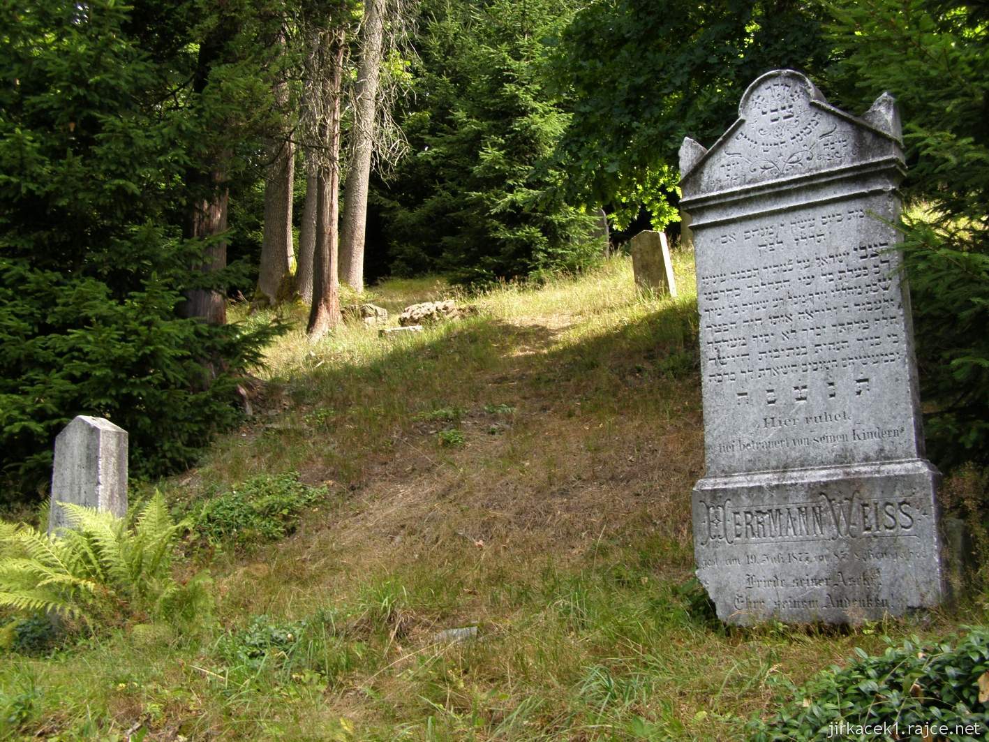 Rokytnice v Orlických horách - židovský hřbitov - náhrobek Herrmanna Weisse