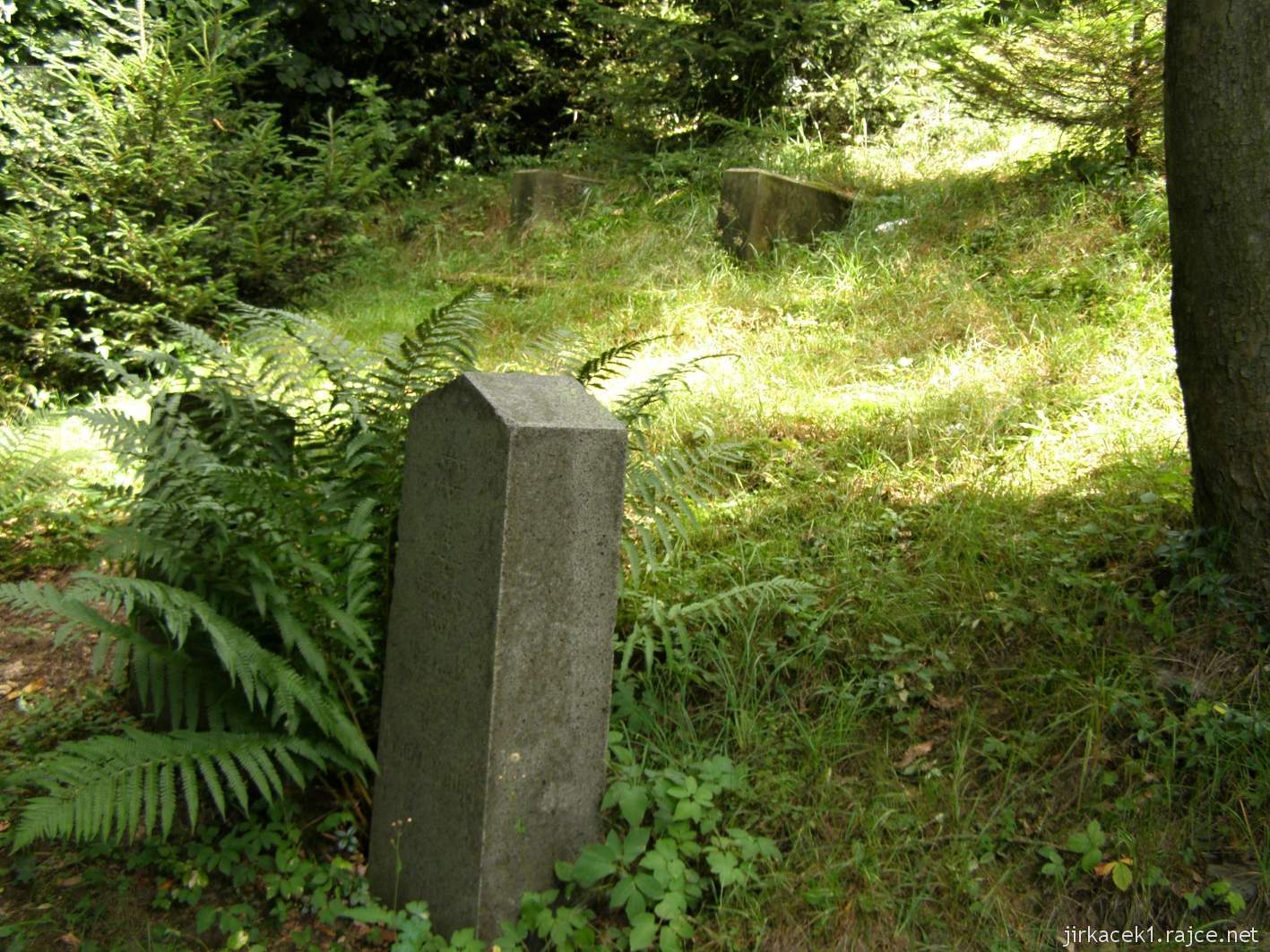 Rokytnice v Orlických horách - židovský hřbitov - náhrobky