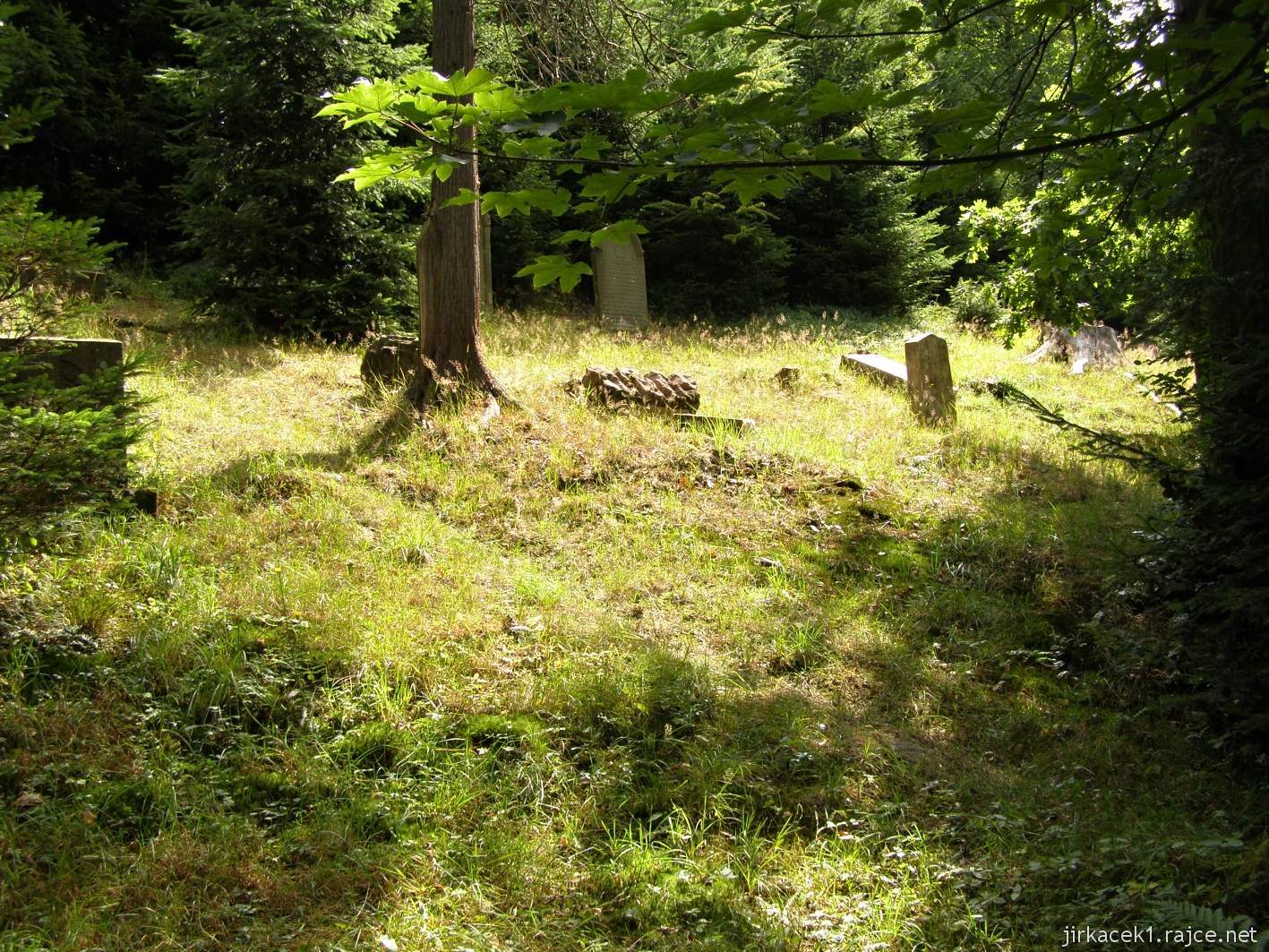 Rokytnice v Orlických horách - židovský hřbitov - prostor hřbitova