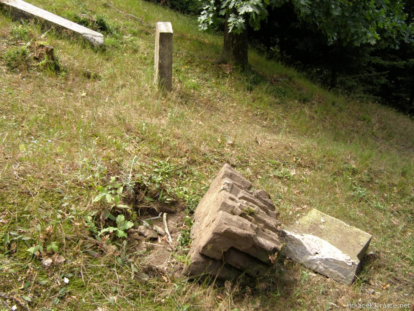 Rokytnice v Orlických horách - židovský hřbitov - náhrobky