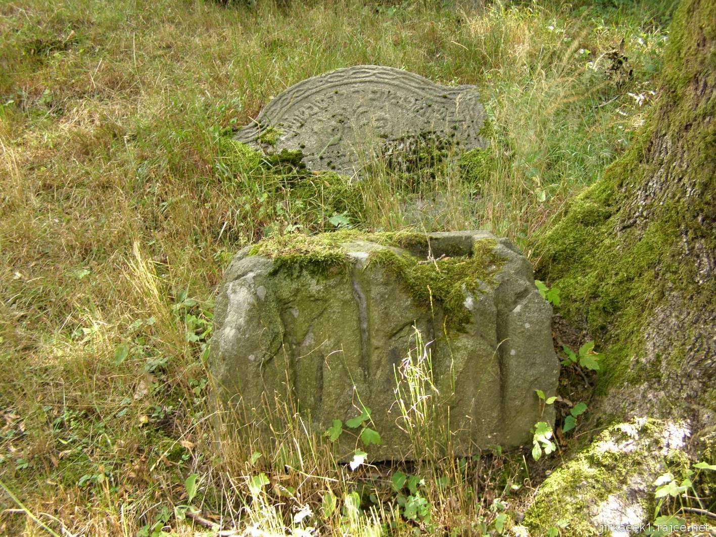 Rokytnice v Orlických horách - židovský hřbitov - zarostlý náhrobek