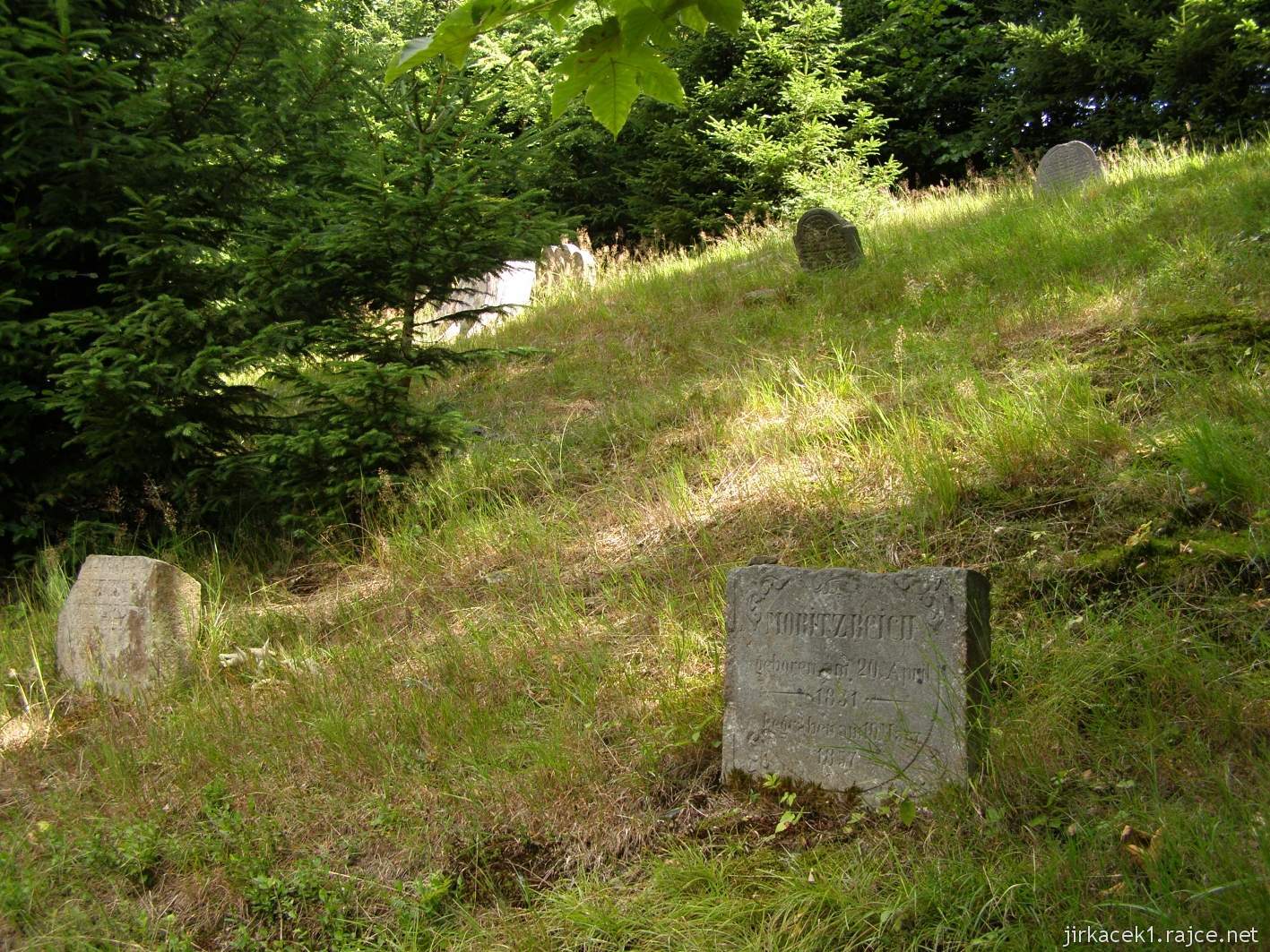 Rokytnice v Orlických horách - židovský hřbitov - prostor hřbitova