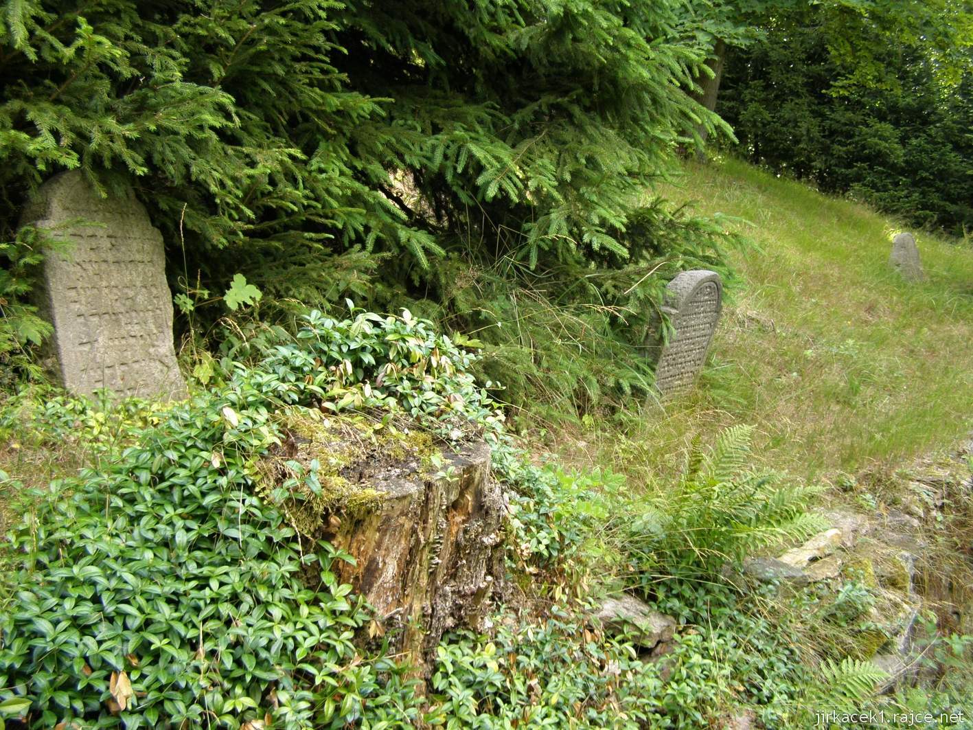 Rokytnice v Orlických horách - židovský hřbitov - náhrobky ve svahu