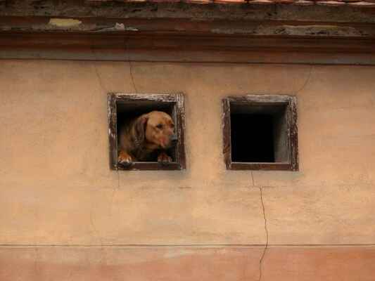 Lochovice -  (20) - Ostře mě sledoval nějaký hafuša z okna.