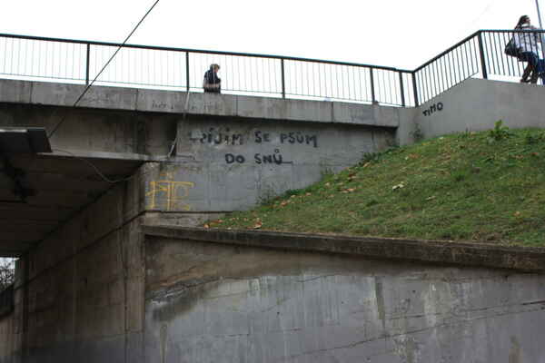 fpíjím se psům do snů - pilíř mostu (beton), zast. Osová, 2011