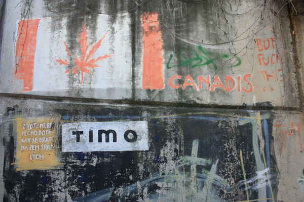canadis|životu nebezpečno... - životu nebezpečno dotýkat se drátů na zem spadlých

pilíř mostu (beton), u silnice I/23 přes Svratku - Riviéra, 2011