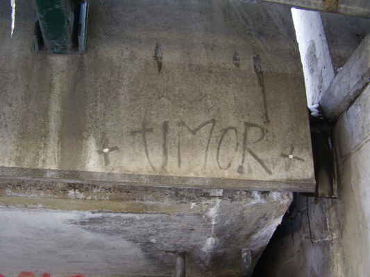 timor - mostovka (beton), silnice I/23 přes Svratku - Riviéra