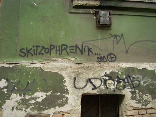 skitzophrenik - fasáda (omítka), Merhautova