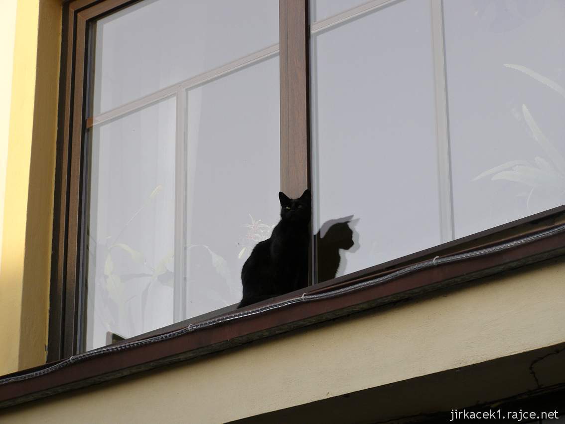 Horka nad Moravou - Struskův vodní mlýn - černá kočka na okně mlýna